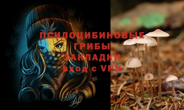 MDMA Premium VHQ Медвежьегорск
